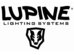 Lupine