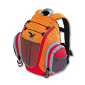 SALEWA Felix 10