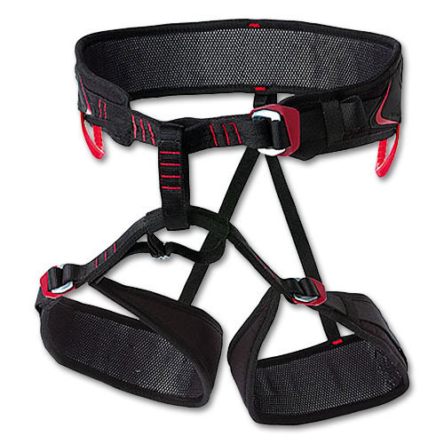 Black/Red