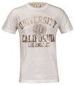 ADIDAS T-Shirt Stampa
