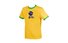 Arena Cambridge Shirt