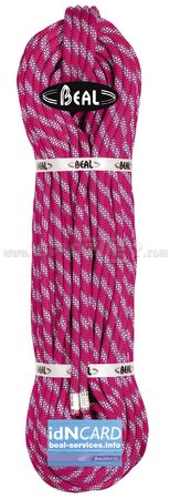 Beal Flyer II 10.2 kaufen in Online Shop Seile / Gurte / Sets  - Sportler