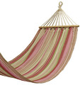 MERU Caribe