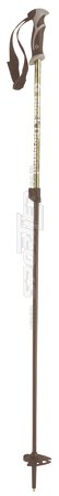 BLACK DIAMOND Adjustable Probe Poles kaufen in Online Shop Stöcke - Sportler