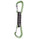 Black Diamond LiveWire Envy Green