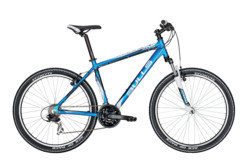 Bulls Pulsar