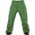 Burton Vent Pants Astro Turf
