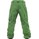Burton Vent Pants Astro Turf