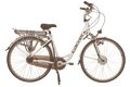 CARVER E-Bike Toronto