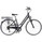 Bike > Pedelecs (E-Bikes) >  Carver Houston Lady