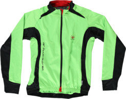 Carver LS Race