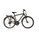 Carver Montana Anthracite