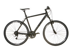 Carver Sonic 110 (2011)