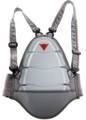 Ski / Freeride / Snowboard > Helme / Protektoren / Brillen >  Dainese Kid Back Protector 02 Jr