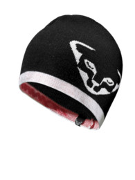 Dynafit Pivot Summer Beanie