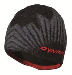 Dynafit Stoke Leaf Beanie