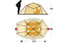Ferrino Baffin 3 