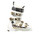 Fischer Soma Vacuum Trinity 110 W's White/Gold