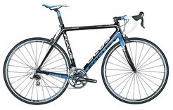 Focus Cayo 3.0 cp