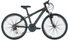 Focus Raven Rockie 24" Jr 