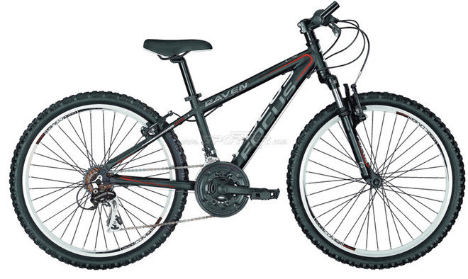 Focus Raven Rockie 24" Jr kaufen in Online Shop MTB Hardtail  - Sportler