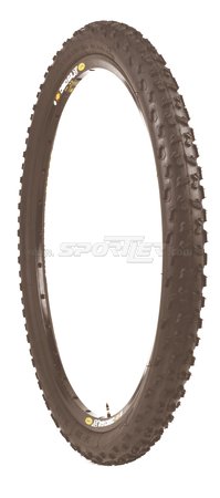 Geax Gato 26" kaufen in Online Shop - Sportler