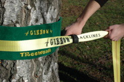 Gibbon Tree Wear