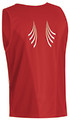 GORE RUNNING Evolution Singlet
