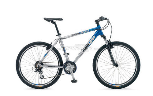 Alu Silver/Pacific Blue