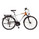 Ktm Life Fun Will be delivered in the color Alpakasilver/Smoked Pearl