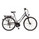 Ktm Life Fun Comfort W'S (2009) Alpakasilver/Smoked Pearl