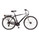 Bike > Trekking und City Bikes >  Ktm Life Joy