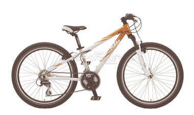 Ktm Wild Thing 24" acquista in Online Shop - Sportler