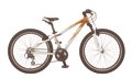 KTM Wild Thing 24"