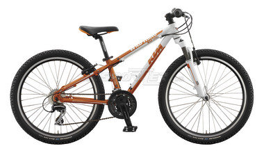 Ktm Wildthing 24" acquista in Online Shop - Sportler