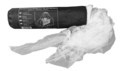 Outdoor / Camping > Hygiene / Schutz / Erste Hilfe >  Meru Moskitonetz Jr