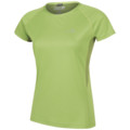 Alpinismo / Montagna > Abbigliamento Trail >  Millet Carline Light T-Shirt S/S W's