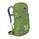 Osprey Mutant 28 Forest Green