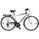Mondo Bike > Trekking e City Bikes >  Passat Avenue 28" 21 Speed (2011)