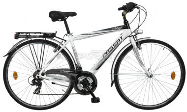 Passat Avenue 28" 21 Speed (2011) kaufen in Online Shop - Sportler