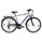 Bike > Trekking und City Bikes >  Passat Melbourne