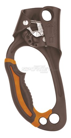 Petzl Ascension New acquista in Online Shop Ferramenta & Co. - Sportler