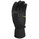 Salewa Aconcagua PST Gloves Black