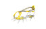 Salewa Aguille 2.0 Combi