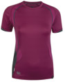 Alpinismo / Montagna > Abbigliamento Roccia >  Salewa Baghirati DRY Tee S/S W's