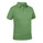 Salewa Baobab 2 Dry S/S Polo Pistache