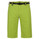 Salewa Climber Short 4.0 DST Pant Cactus