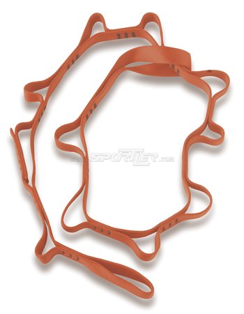 Salewa Daisy Chain acquista in Online Shop Corde / Imbraghi / Sets  - Sportler
