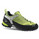 Salewa Firetail (2011) Apple/Cactus