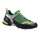 Alpinismus / Bergsport > Schuhe Zustieg / Trail >  Salewa Firetail GTX
